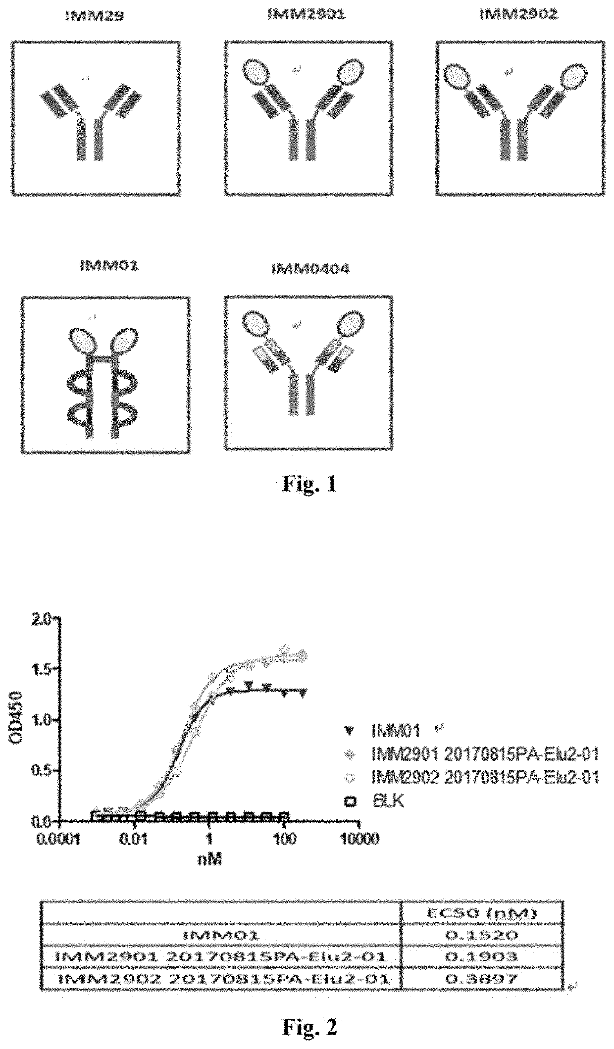 Recombinant bifunctional protein targeting cd47 and her2