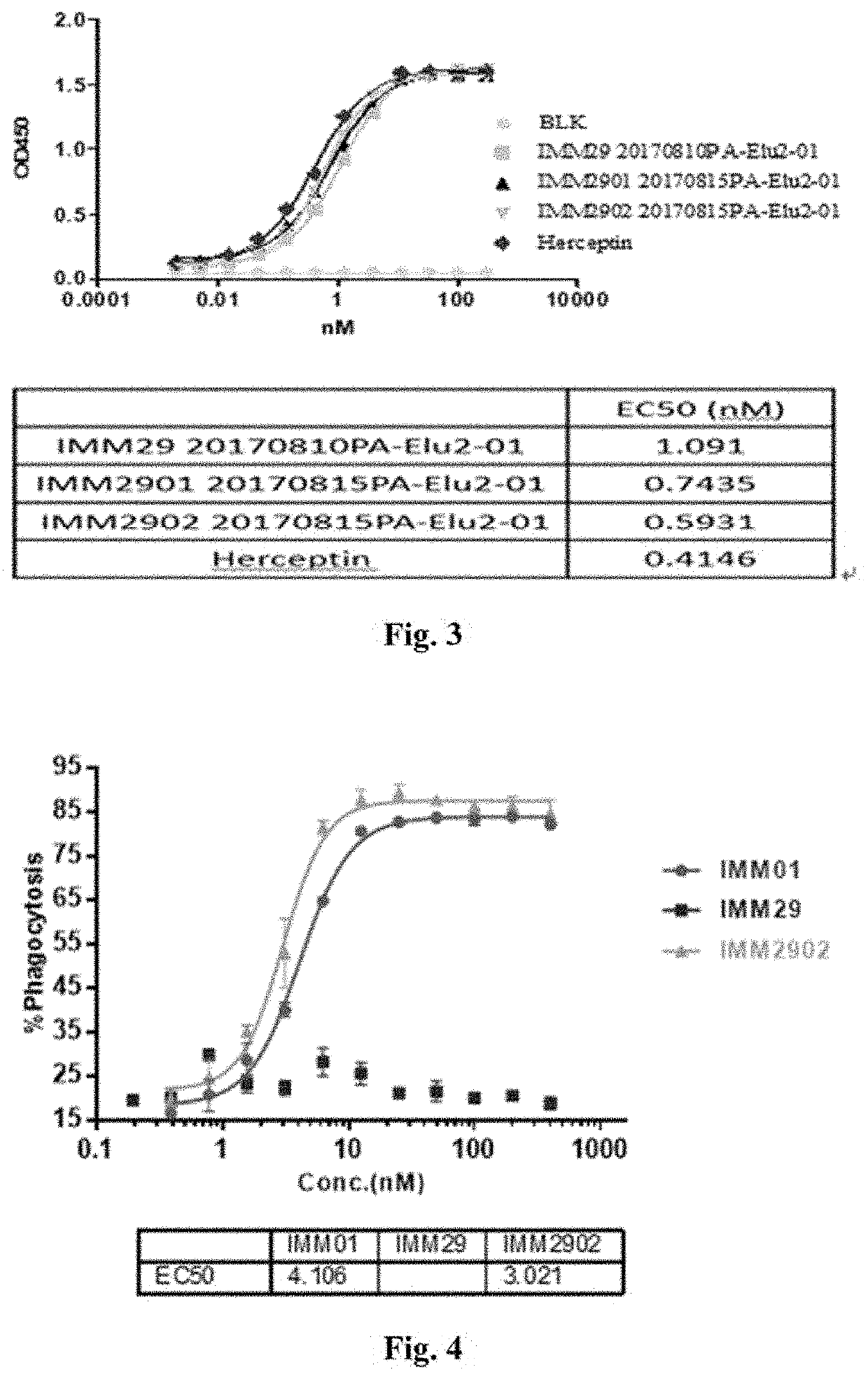 Recombinant bifunctional protein targeting cd47 and her2