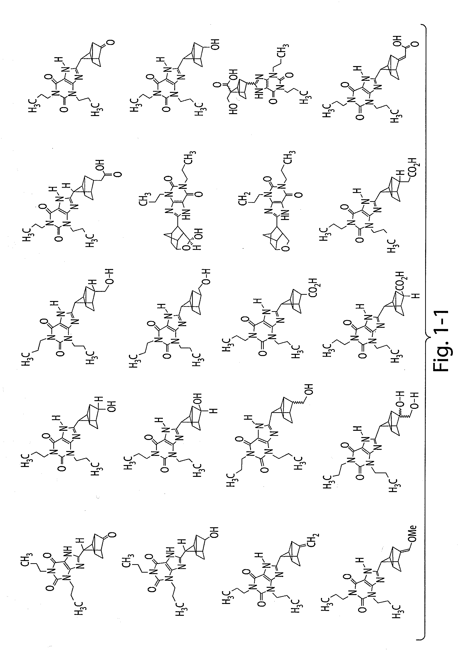 Therapeutic compositions and related methods of use