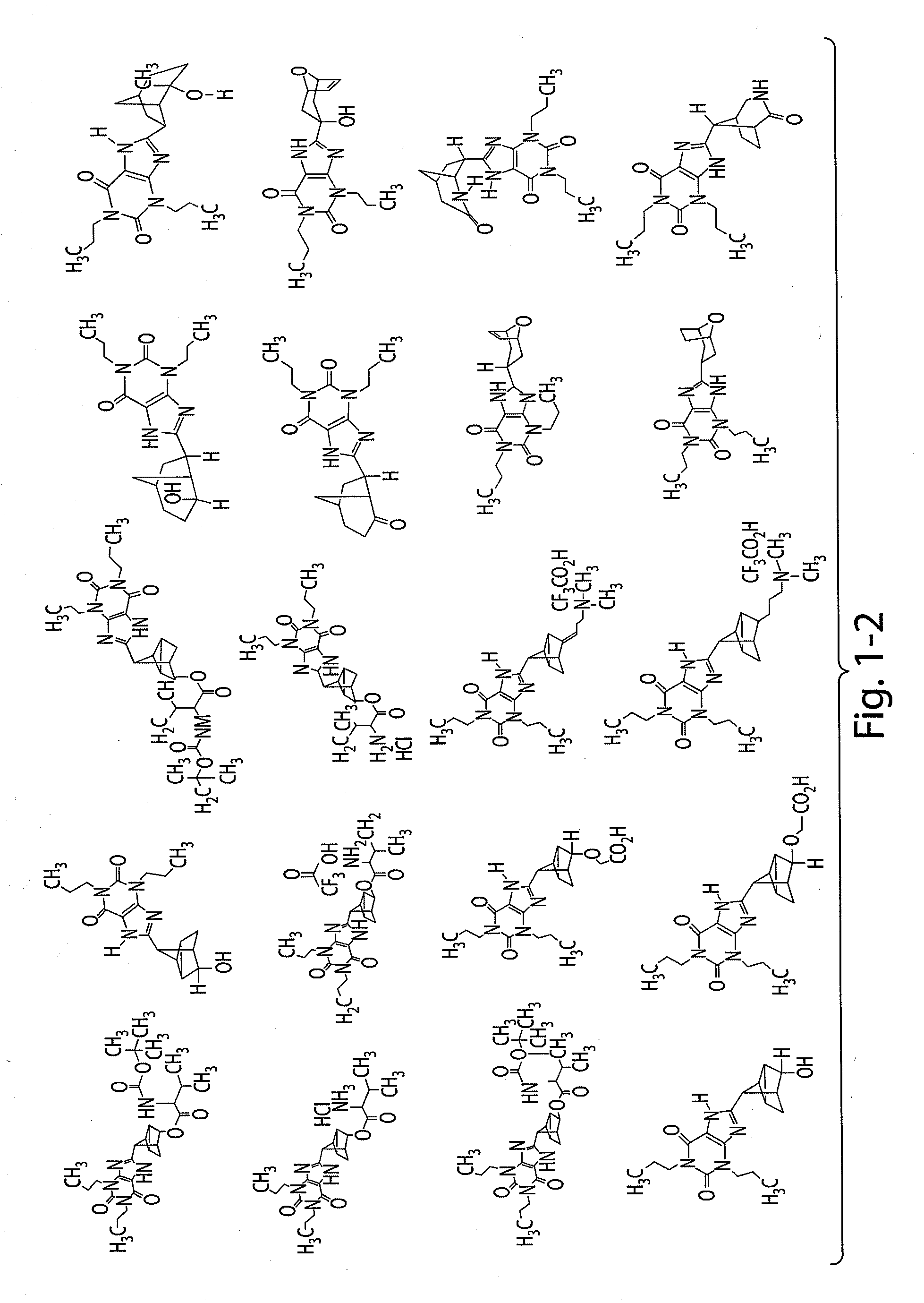 Therapeutic compositions and related methods of use