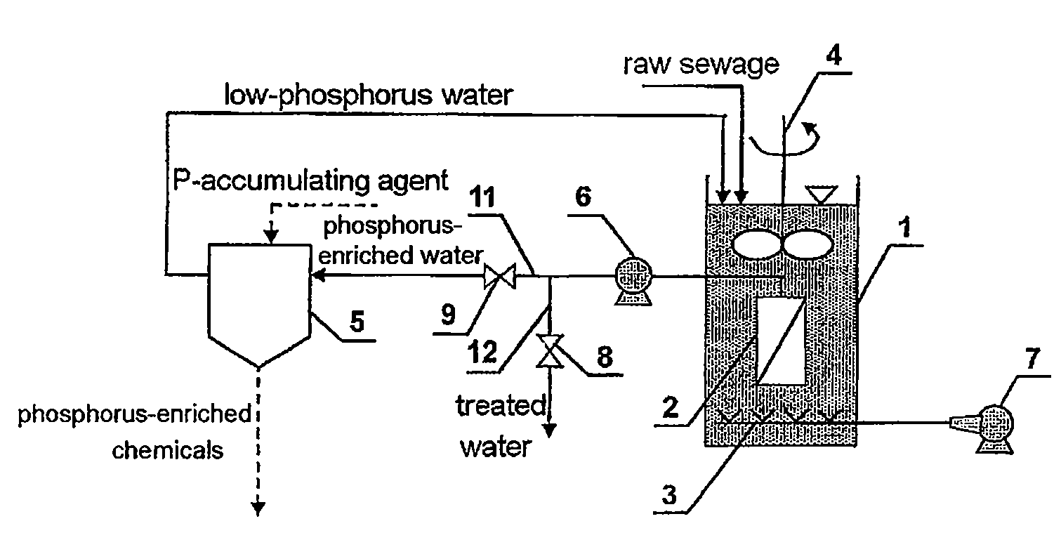 Sewage treatment process and system
