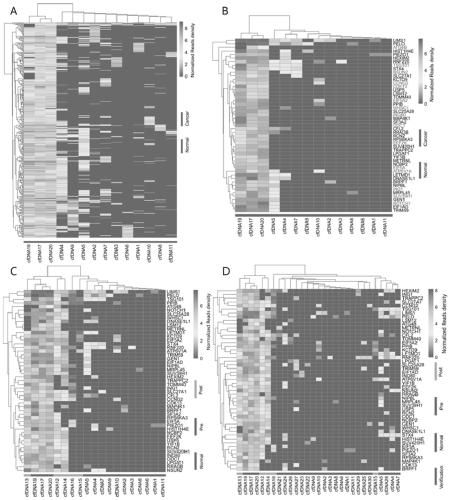 Cancer-related biomarker based on cfDNA sequencing and data analysis as well as application of cancer-related biomarker based on cfDNA sequencing and data analysis in cfDNA sample classification