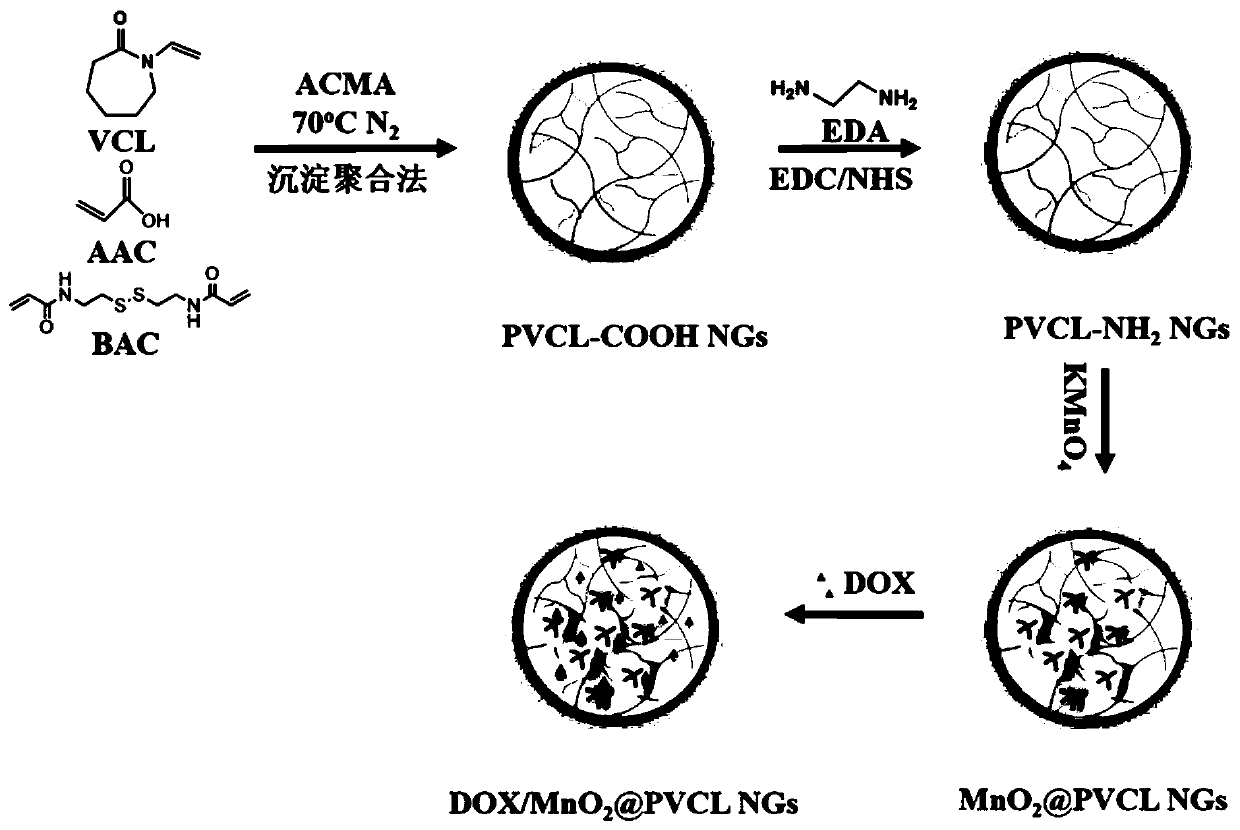 Manganese dioxide and doxorubicin supported nanometer hydrogel and preparation and application thereof