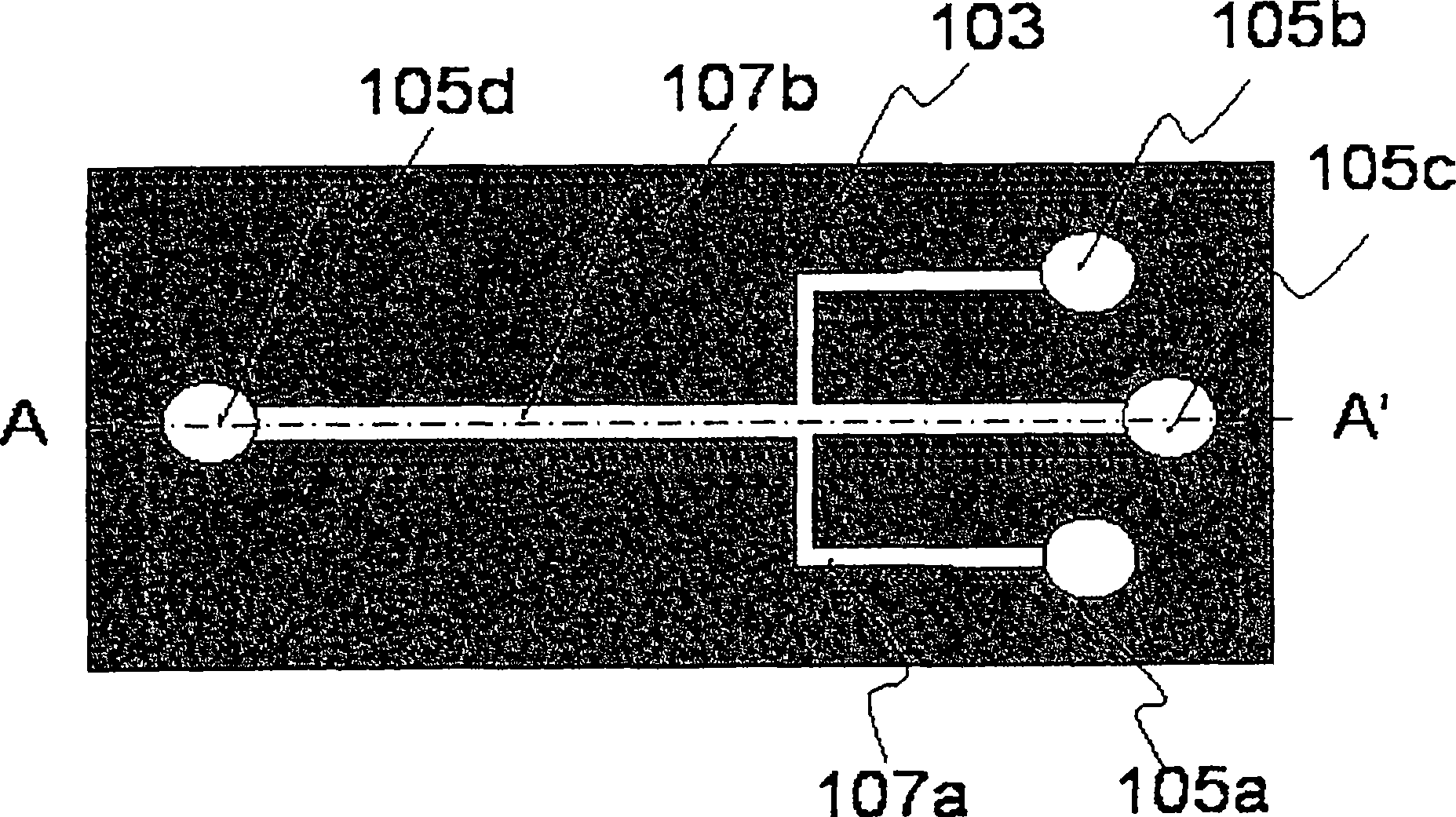 Chip, device using the chip, and method of using the chip