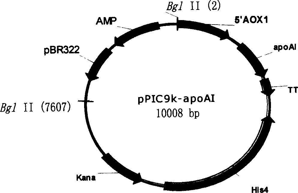 Process for preparing human apolipoprotein A-I
