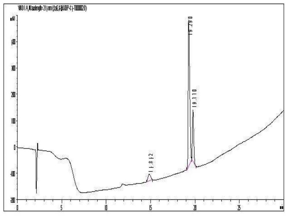 A dual-target tumor vaccine and its preparation method and application