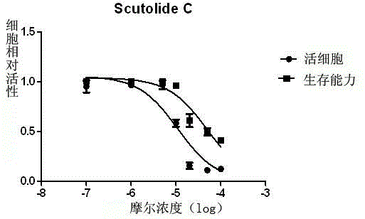 Scutellaria barbata extract as well as preparation method and application thereof
