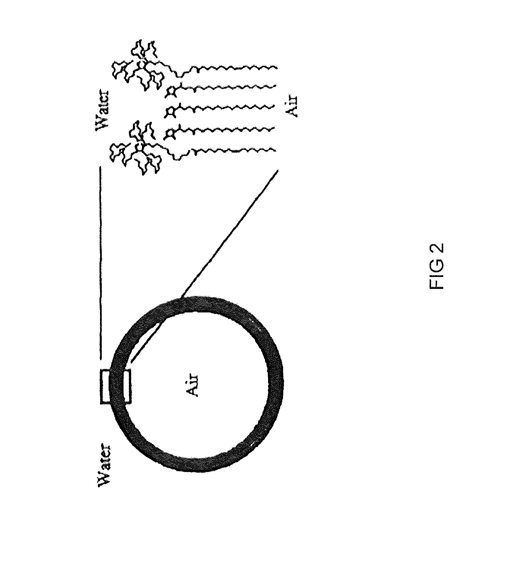 Stabilized Ultrasound Contrast Agent