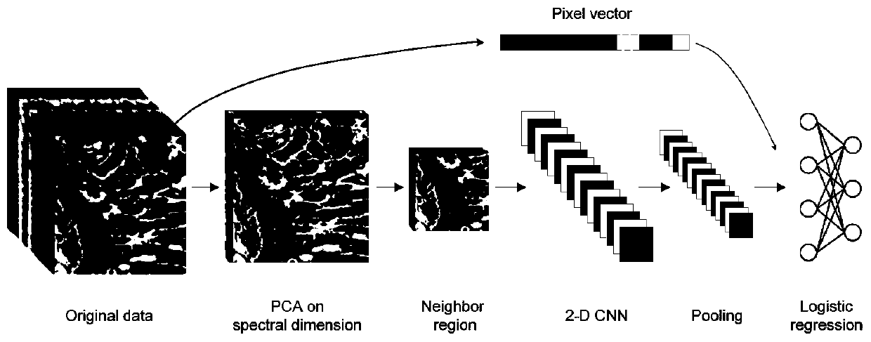 Tissue slice classification method based on microscopic hyperspectral imaging technology