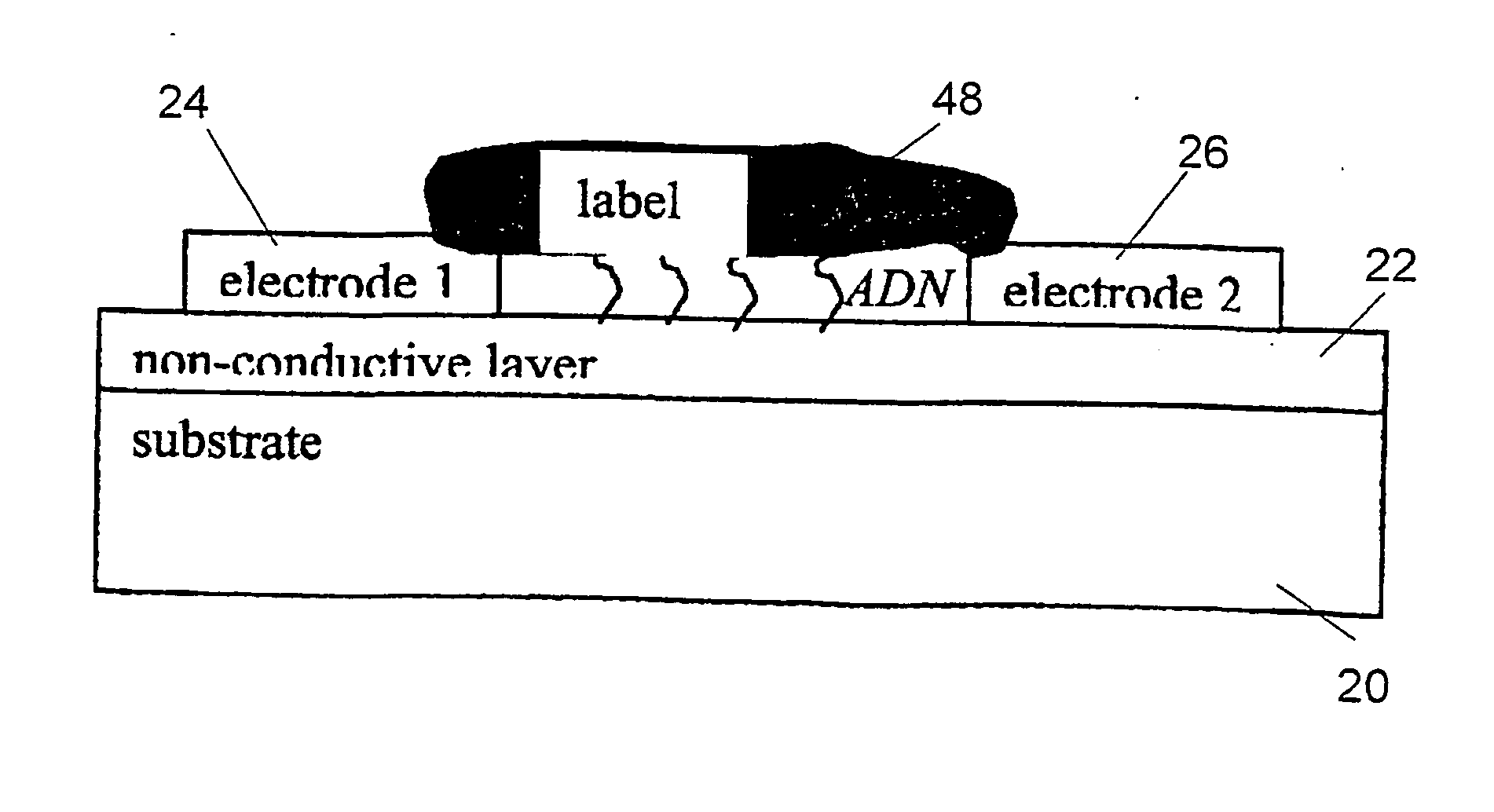 Method and device for high sensitivity detection of the presence of dna and other probes