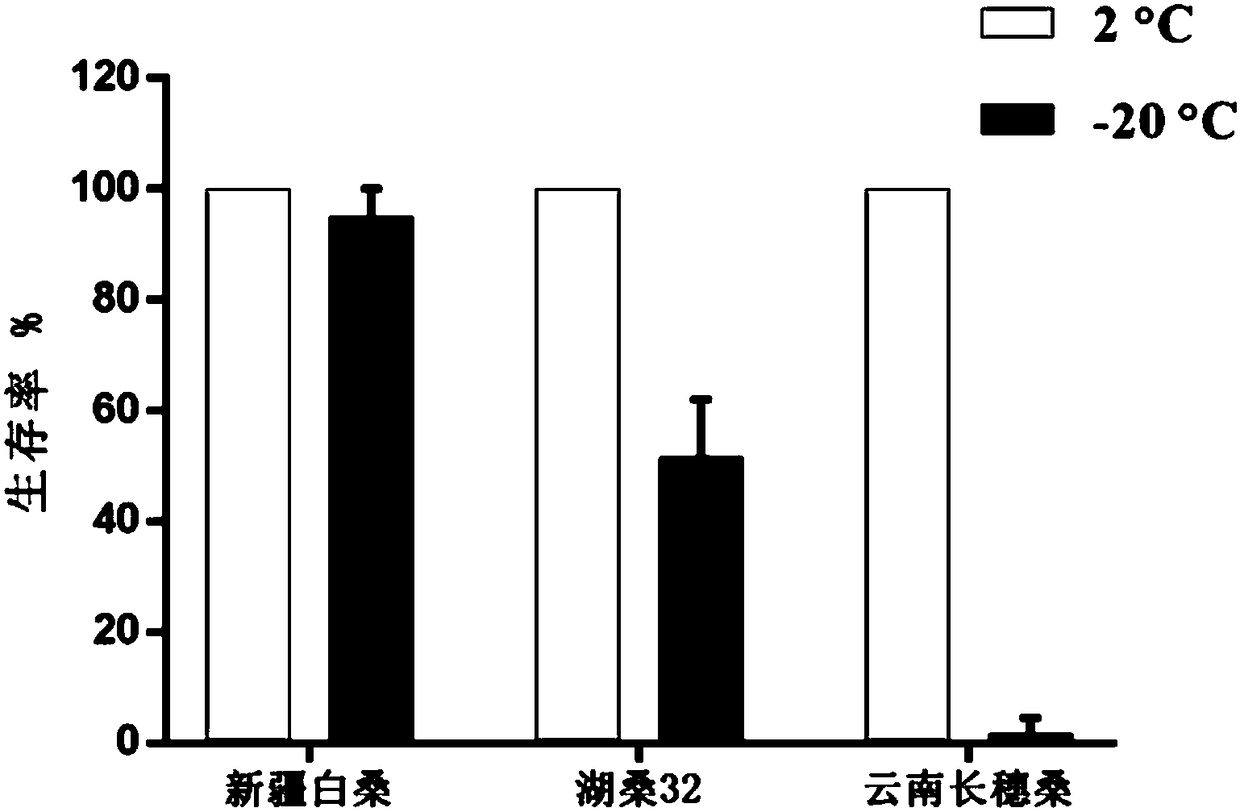 Method for detecting cold resistance of mulberry tree variety