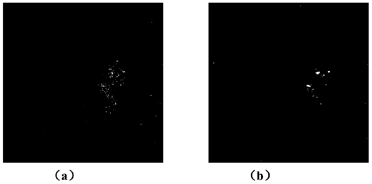 Non-local wavelet information based remote sensing image change detection method