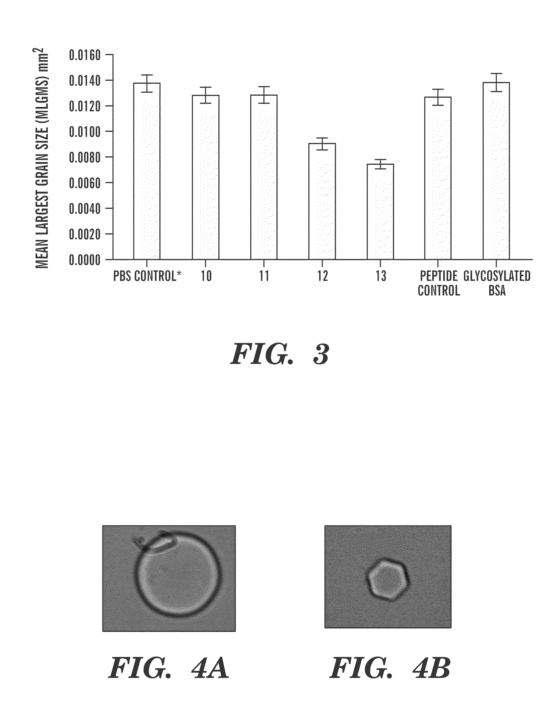 Antifreeze glycoprotein analogues and uses thereof