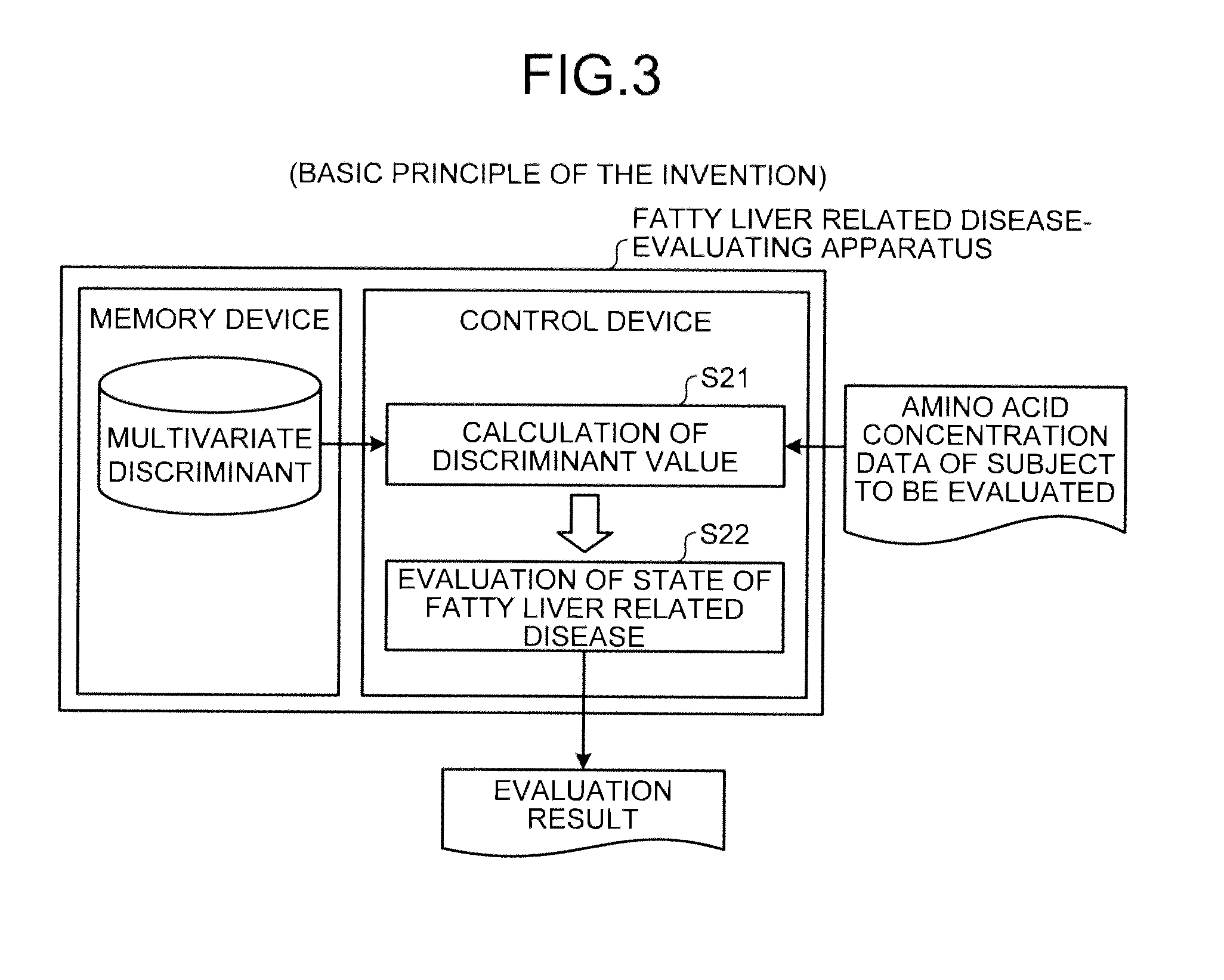 Method of evaluating fatty liver related disease, fatty liver related disease-evaluating apparatus, fatty liver related disease-evaluating method, fatty liver related disease-evaluating program product, fatty liver related disease-evaluating system, information communication terminal apparatus, and method of searching for prophylactic/ameliorating substance for fatty liver related disease