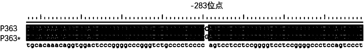 Molecular marker breeding method for improving natural immunity of pigs and application of molecular marker breeding method