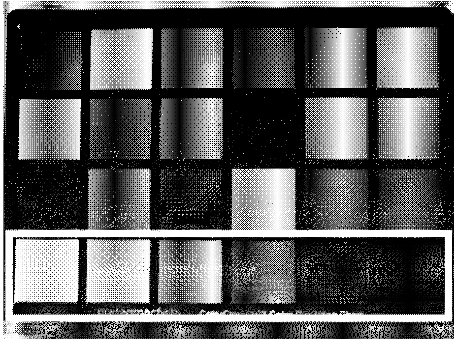 Image white balance method based on sparse representation