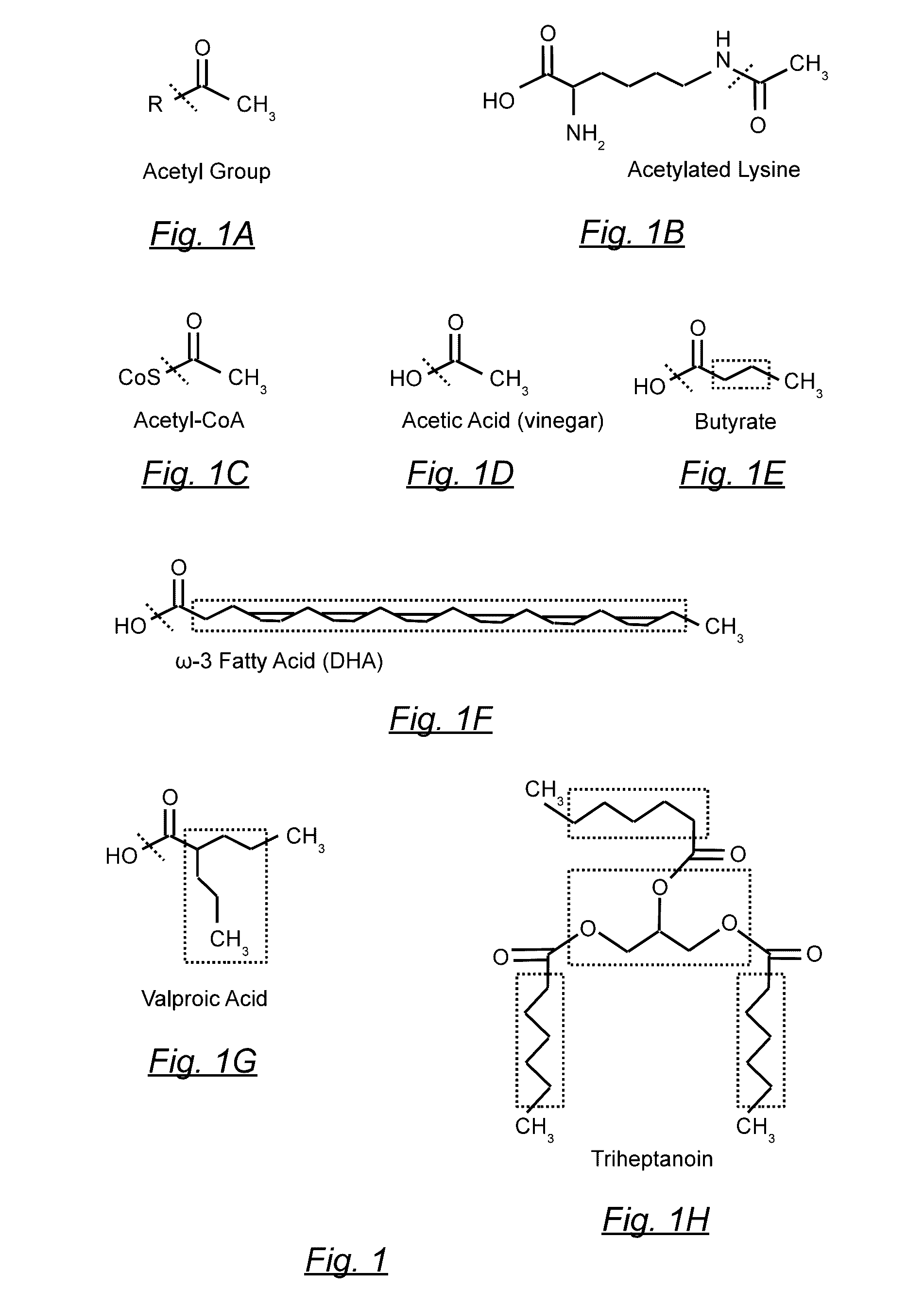 Method of dietary treatment for genetic and epigenetic diseases and disorders