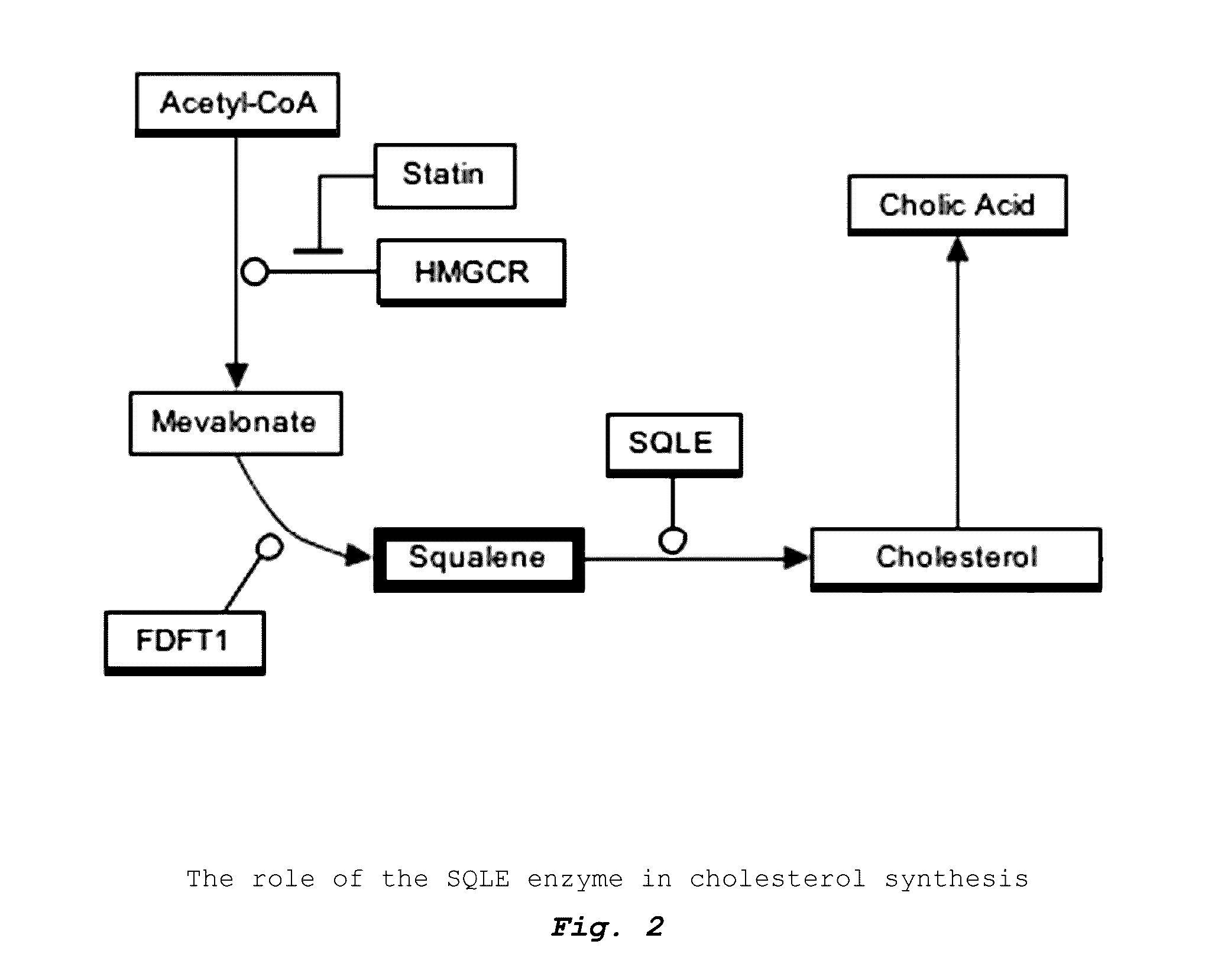 Method of dietary treatment for genetic and epigenetic diseases and disorders