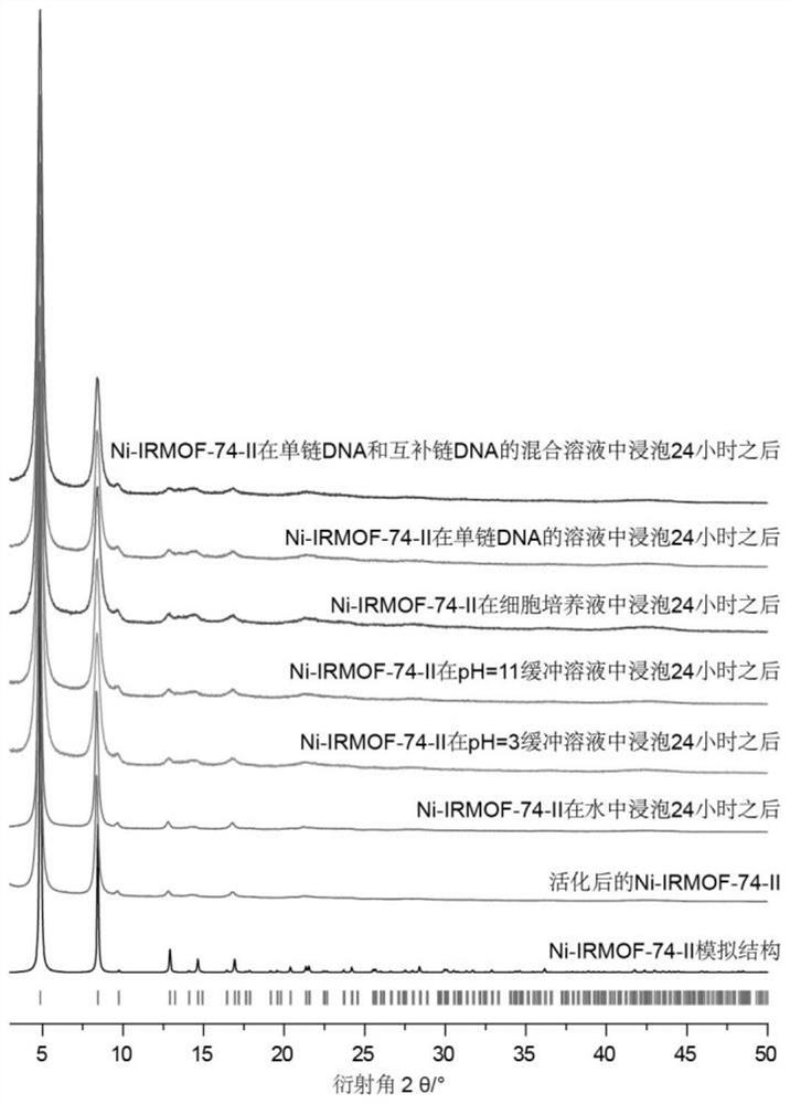 Nucleic acid transfection method based on mofs pore confinement effect