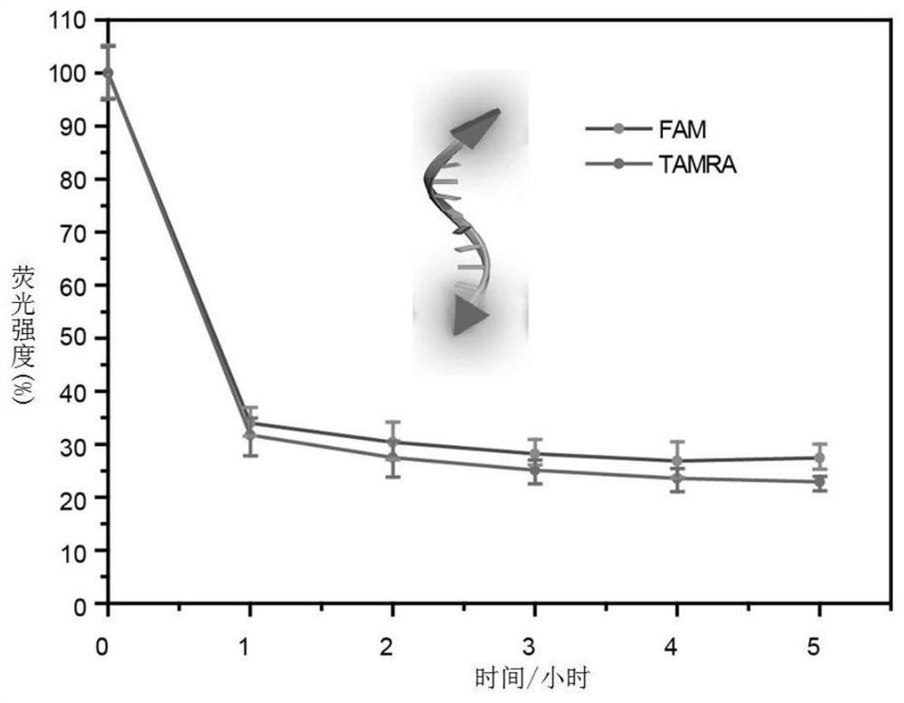 Nucleic acid transfection method based on mofs pore confinement effect