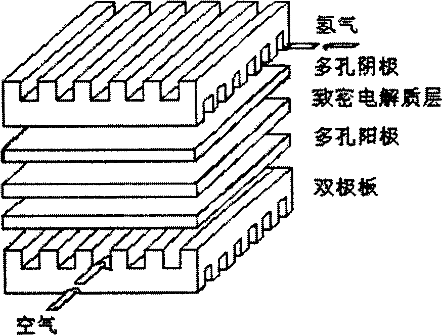 Method of photolyzing seawater by tetraselmis chui to produce hydrogen using fuel cell hydrogen consuming technique