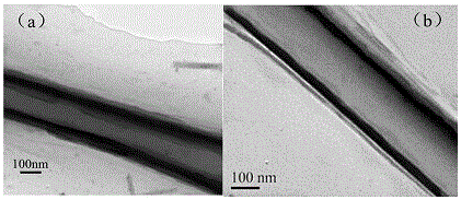peo-coated hollow sn-ni alloy nanowire array, its preparation method and its application