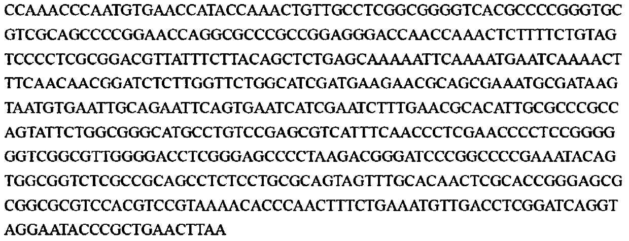 A kind of trichoderma dark green strain and application thereof