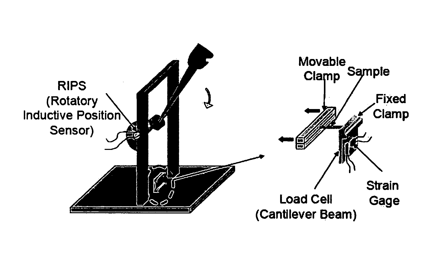 Process for improving tear resistance in elastic films