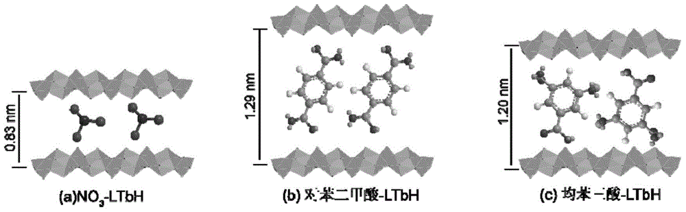 Trimesic acid-LTbH complex and synthesis method thereof