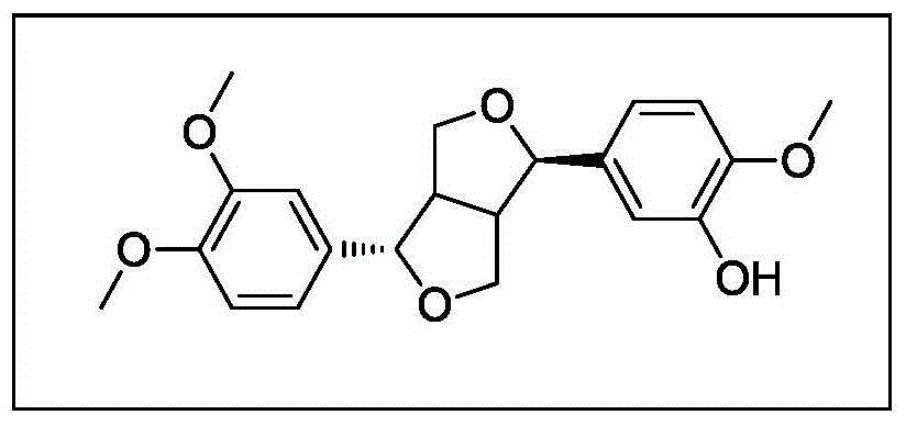 Application of phillyrin, phillyrin derivatives, and phillyrin-phillygenin composition in preparation of anti-aging drugs