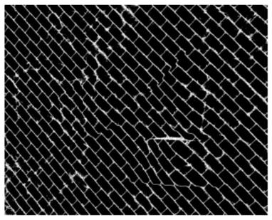 Camouflage detection method based on composite quadrature phase shift stripes