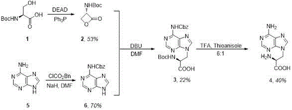 Purine alanine derivative used for tumor therapy, and preparation method and application of derivative