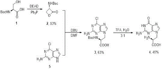 Purine alanine derivative used for tumor therapy, and preparation method and application of derivative