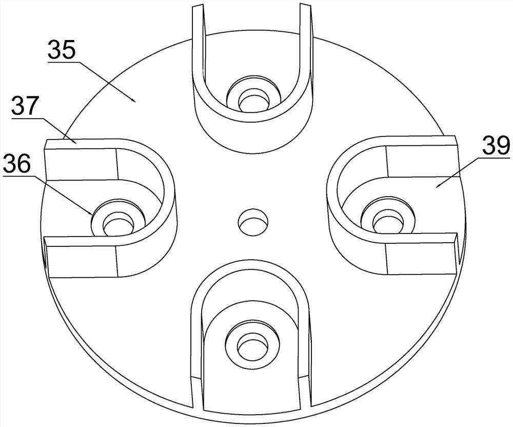 Fruit pitting equipment for apple processing