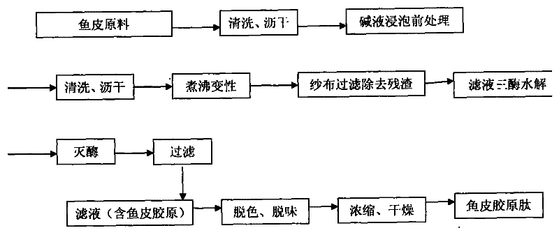 Fish skin collagen peptide with moistening effect and preparation process and application thereof