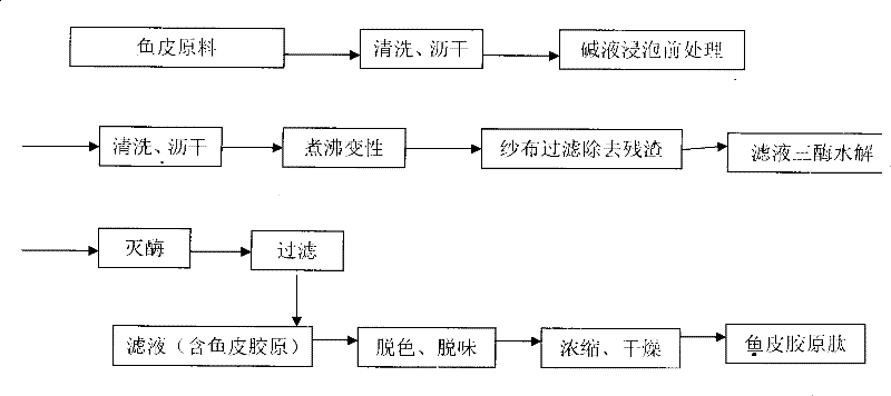 Fish skin collagen peptide with moistening effect and preparation process and application thereof