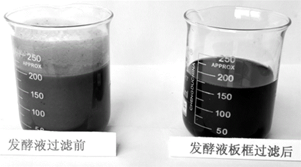 Method for extracting neomycin from neomycin broth