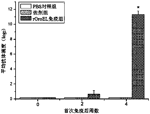 Preparation method and application of recombinant groel protein vaccine of tilapia-derived Streptococcus agalactiae