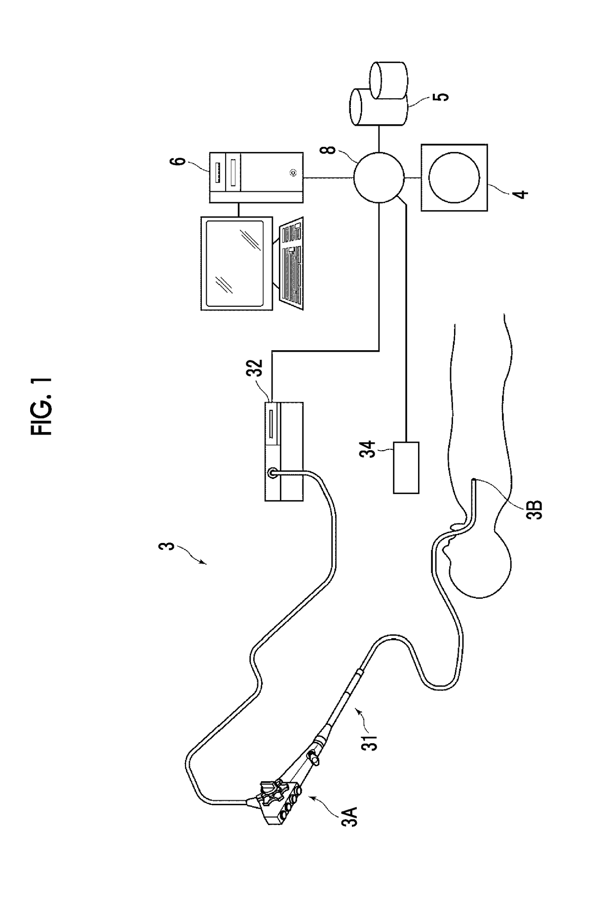 Branching structure determination apparatus, method, and program