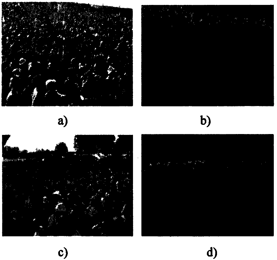 Single Image Crowd Counting Algorithm Based on Multi-column Convolutional Neural Network