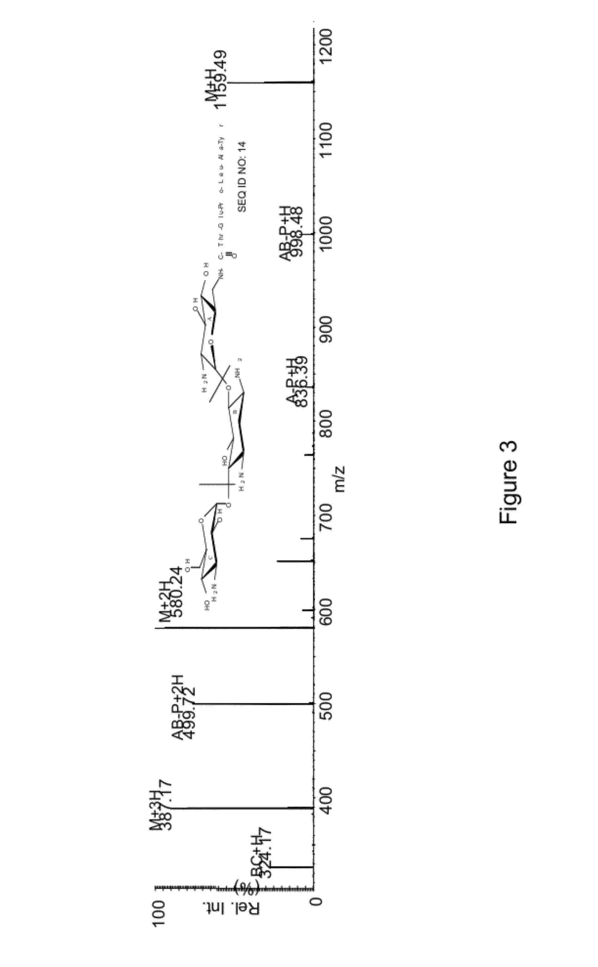 Bioconjugates as therapeutic agent and synthesis thereof