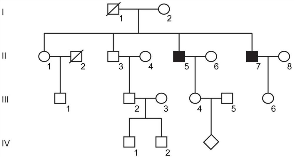 Mutated tyr gene associated with oculocutaneous albinism type 1 and its use in genetic diagnosis