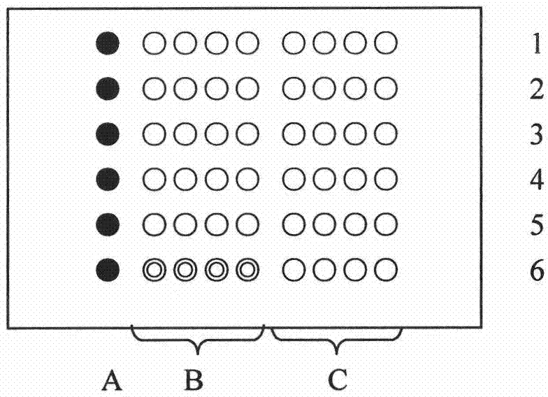 Biochip for detecting drug resistant genes of helicobacter pylori clarithromycin and preparation method and application thereof