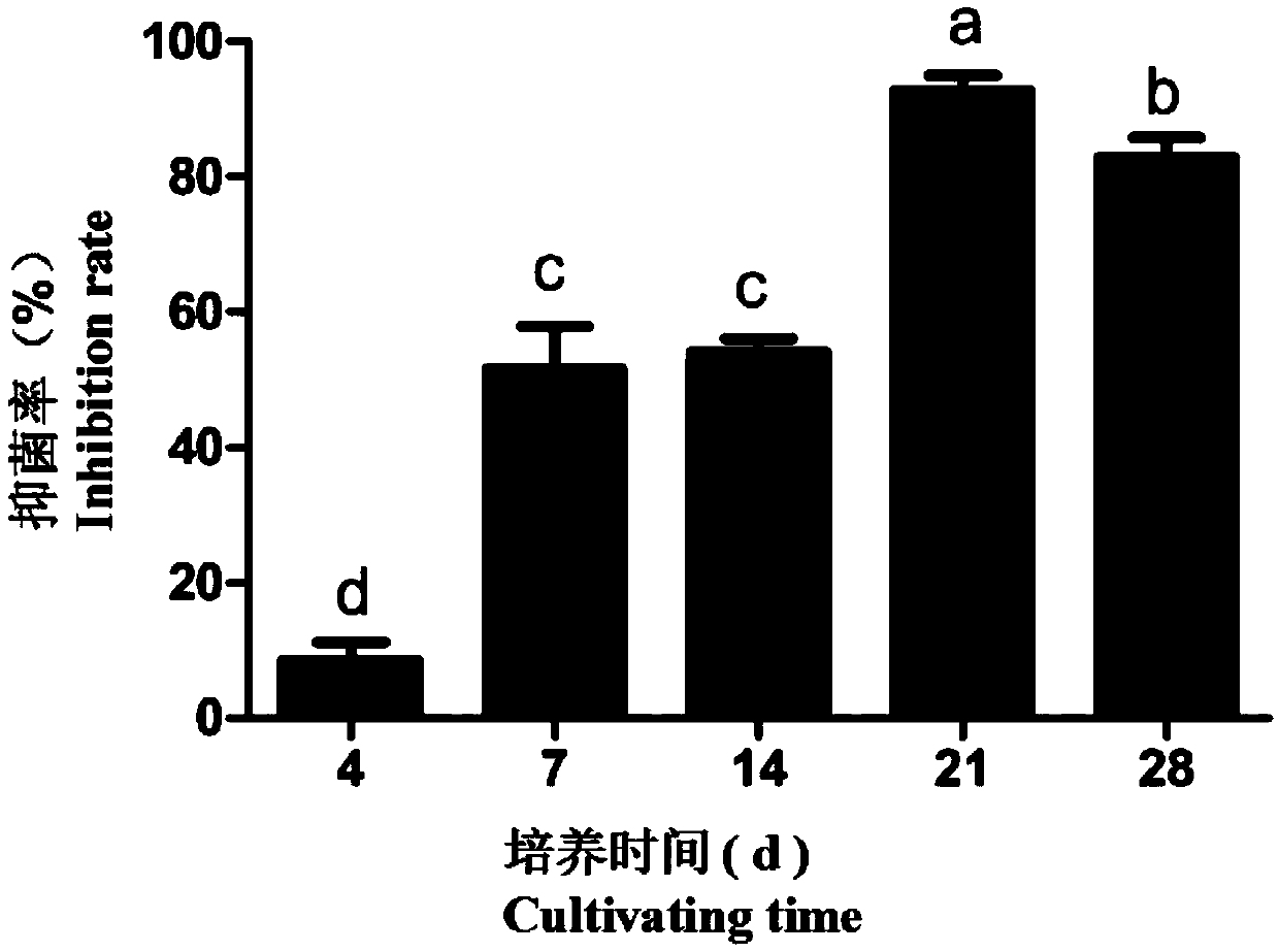 Application of Volatile Substances Produced by Streptomyces faecalis in Plant Disease Control