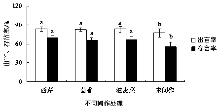 Method for reducing allelopathy effect of Panax notoginseng