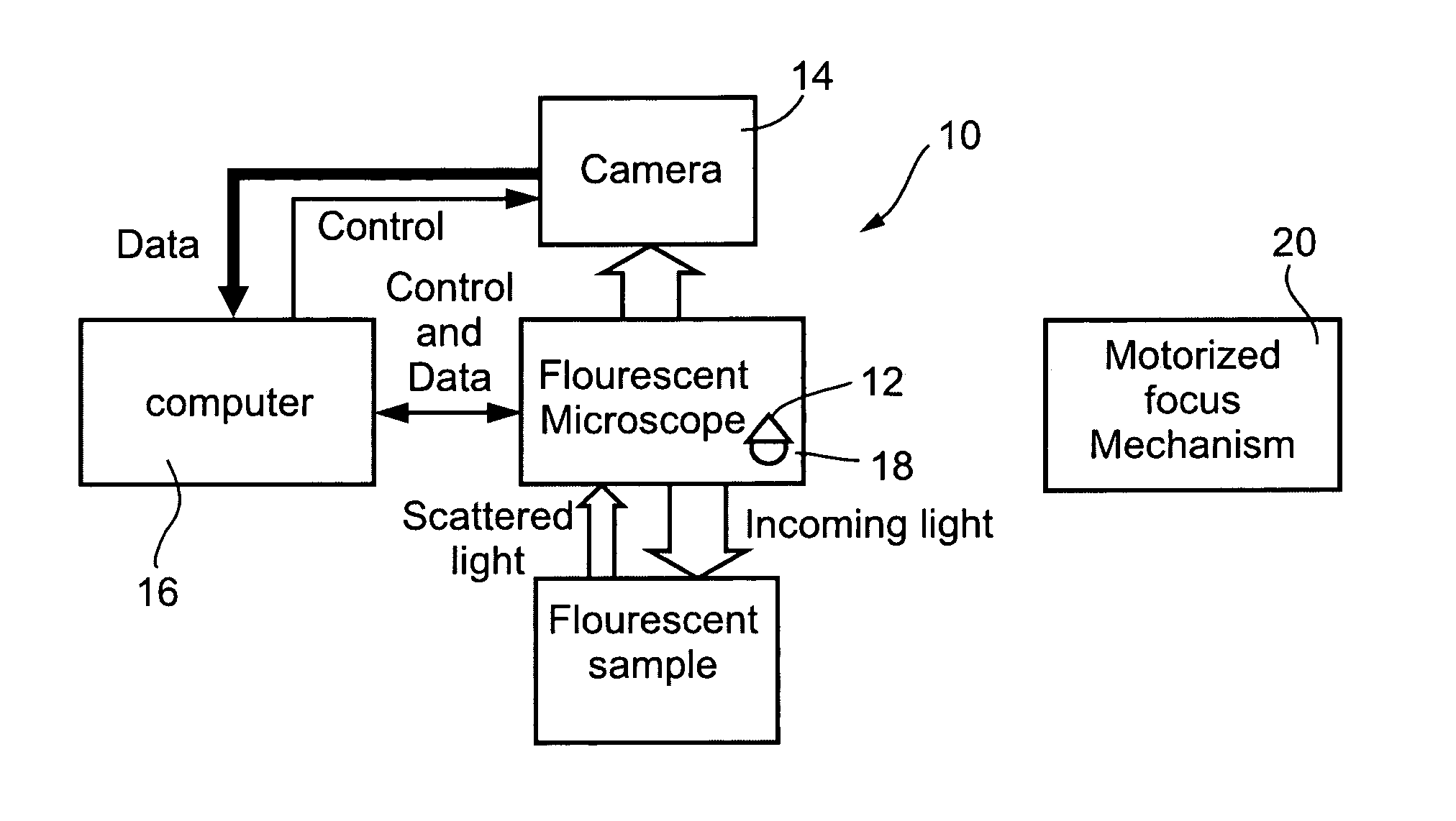 Image focusing in fluorescent imaging