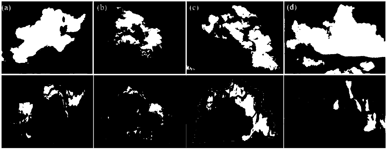 Method for reconstructing three-dimensional shape of cumulus based on single natural image