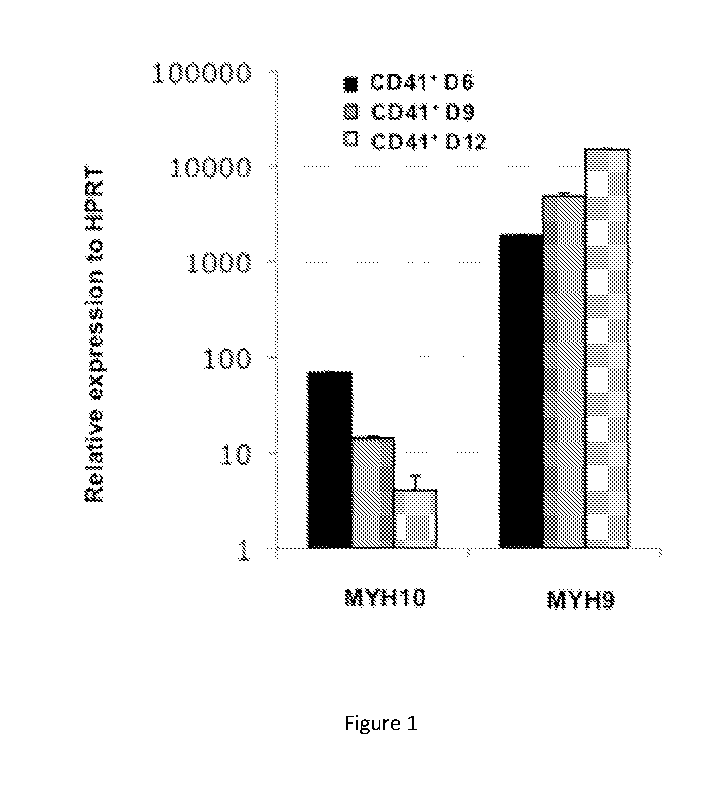 Myh10 as a new marker of pathologies resulting from runx1 inactivation