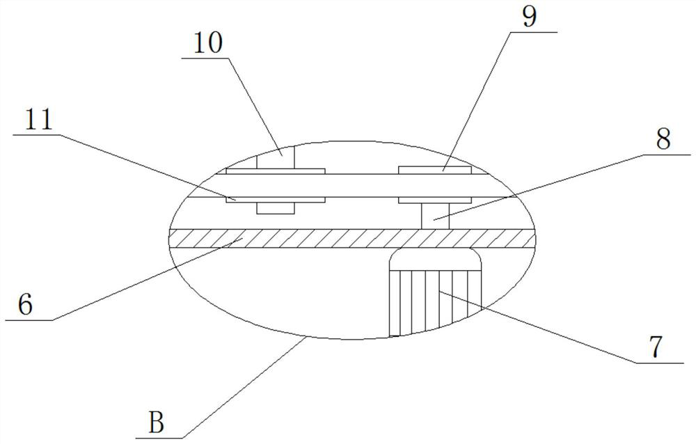 Quality detection equipment used for acceptance inspection of square bamboo shoots and applicable to beverage processing