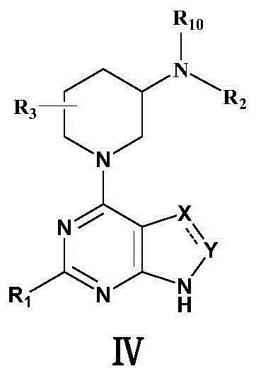 1-(pyrimidine-4-yl)-3-aminopiperdine derivative and its preparation method and use